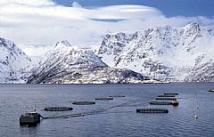 Anlegg for lakseoppdrett i Loppa. Foto: Per Eide Studio. Norwegian Seafood Export Council.