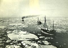 Fangstflåten i Antarktis ca. 1930. Foto: Norges  Fiskerimuseum/Museum Vest