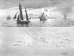 Makrelldorging i Nordsjøen. Akvarell av Lauritz Haaland. Norges Fiskerimuseum .